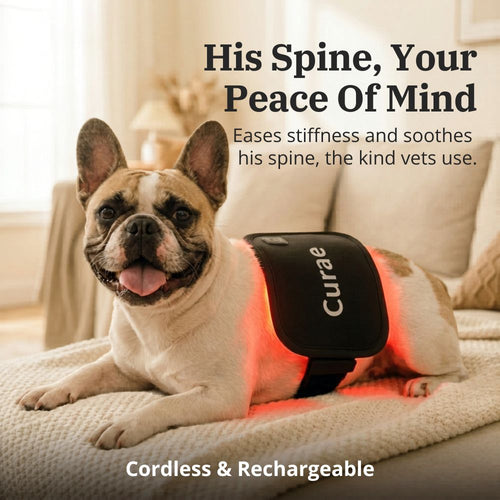 Curae™ Pet Red Light Pad