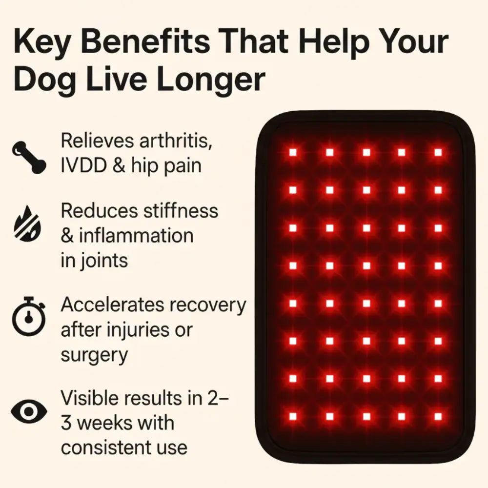 Curae™ Pet Red Light Pad